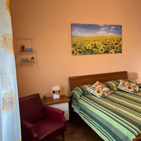 Vicino A Tutto Bed & Breakfast Верчели Екстериор снимка